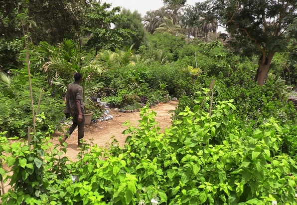 Exploitants des jardins de Sebkha sous la menace d’une expulsion Exploitants des jardins de Sebkha sous la menace d’une expulsion