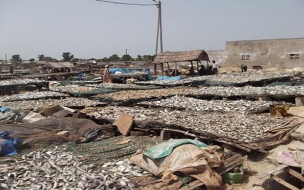 Vers plus de valeur ajoutée pour les produits de la pêche Vers plus de valeur ajoutée pour les produits de la pêche