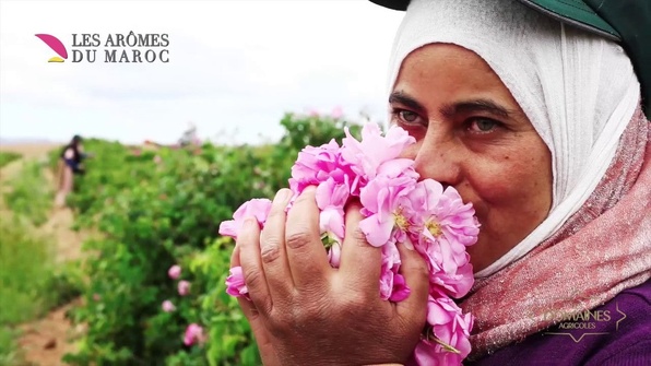 Communiqué : La marque marocaine Tiyya du Groupe « Les arômes du Maroc » fait son entrée en Mauritanie Communiqué : La marque marocaine Tiyya du Groupe « Les arômes du Maroc » fait son entrée en Mauritanie