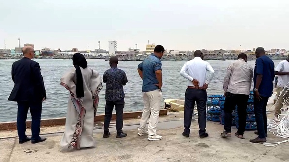 Greenpeace : nourrir le monstre ou sauver les océans ? Greenpeace : nourrir le monstre ou sauver les océans ?