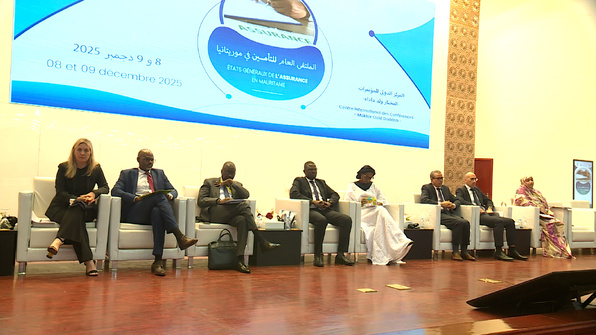 Vers la création d’une Bourse des Valeurs Mobilières de Mauritanie (BVMM) Vers la création d’une Bourse des Valeurs Mobilières de Mauritanie (BVMM)