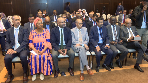 Journée  du FMI sur les perspectives économiques en Mauritanie et la région MENA