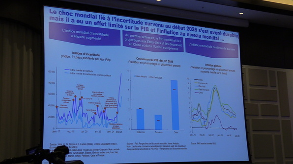 Journée  du FMI sur les perspectives économiques en Mauritanie et la région MENA