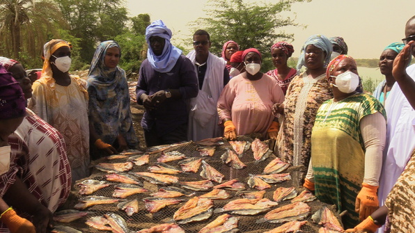 Le ProSSALM bâtit la résilience des communautés en Mauritanie