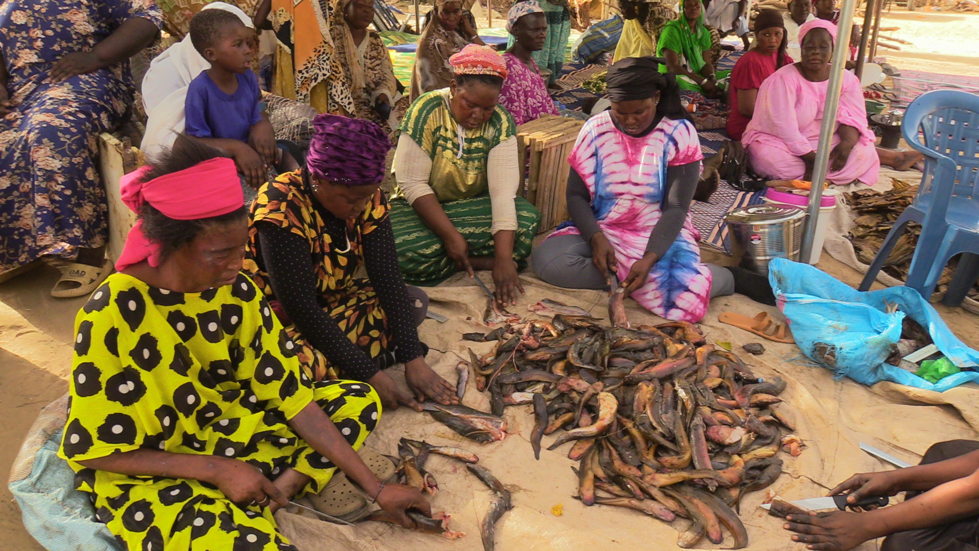 Le ProSSALM bâtit la résilience des communautés en Mauritanie Le ProSSALM bâtit la résilience des communautés en Mauritanie