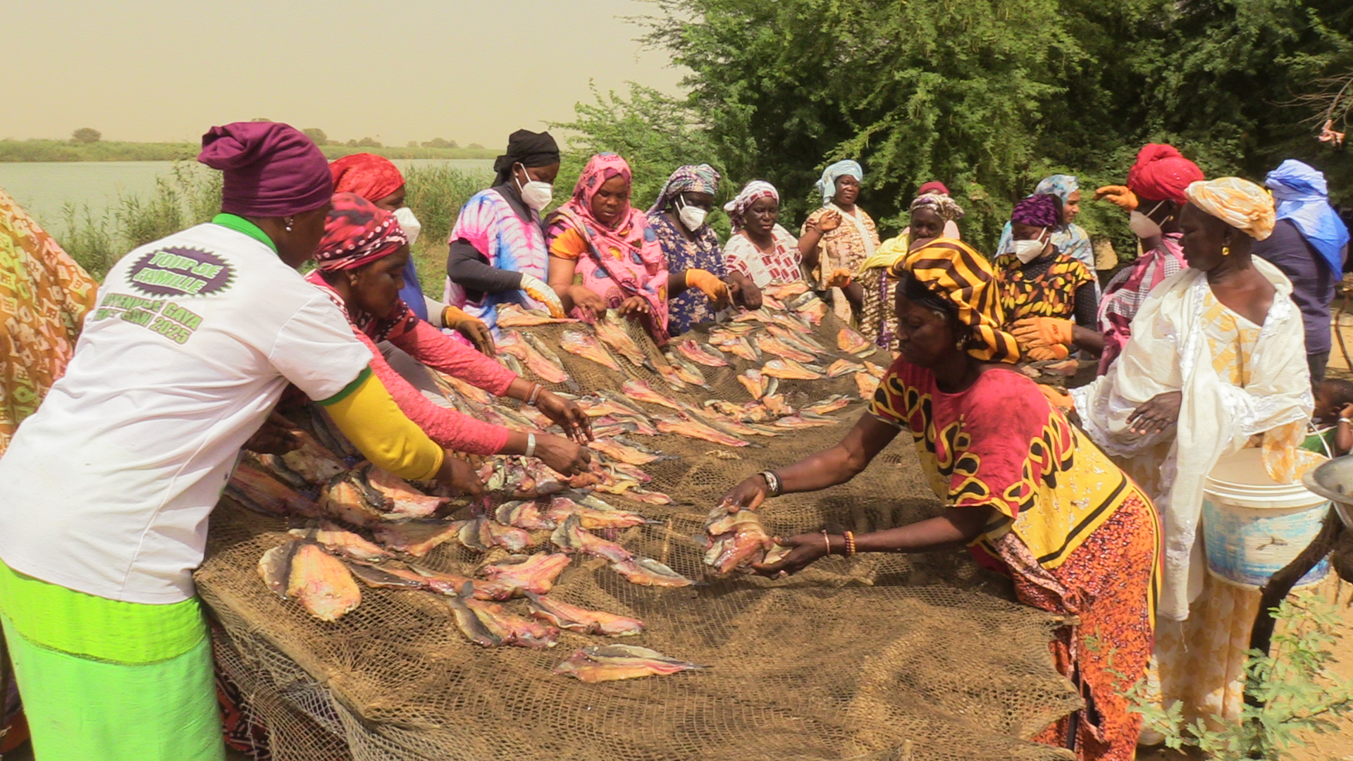 Le ProSSALM bâtit la résilience des communautés en Mauritanie Le ProSSALM bâtit la résilience des communautés en Mauritanie