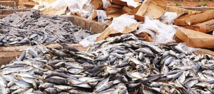 COMMUNIQUÉ DE PRESSE FÉDÉRATION NATIONALE DES PÊCHES (FNP) SECTION SUD – NOUAKCHOTT COMITÉ DES USINIERS ET EXPORTATEURS
