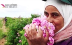 Communiqué : La marque marocaine Tiyya du Groupe « Les arômes du Maroc » fait son entrée en Mauritanie