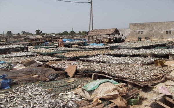 Vers plus de valeur ajoutée pour les produits de la pêche