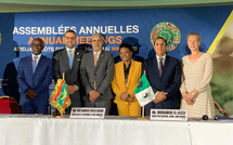Prés de 30 millions de dollars de la BAD pour la Mauritanie
