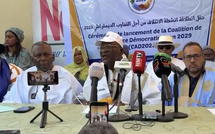 Coalition pour une Alternance Démocratique en 2029 : cadre formel de  l’opposition anti dialogue