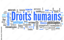 La vérité sur l'affaire de la délégation des droits de l'homme à qui l'entrée en Mauritanie a été refusée