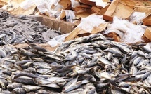 COMMUNIQUÉ DE PRESSE FÉDÉRATION NATIONALE DES PÊCHES (FNP) SECTION SUD – NOUAKCHOTT COMITÉ DES USINIERS ET EXPORTATEURS